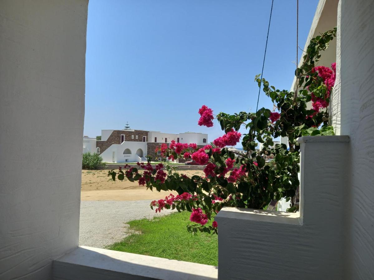 Joanna'S Rooms On The Beach Plaka  Ngoại thất bức ảnh