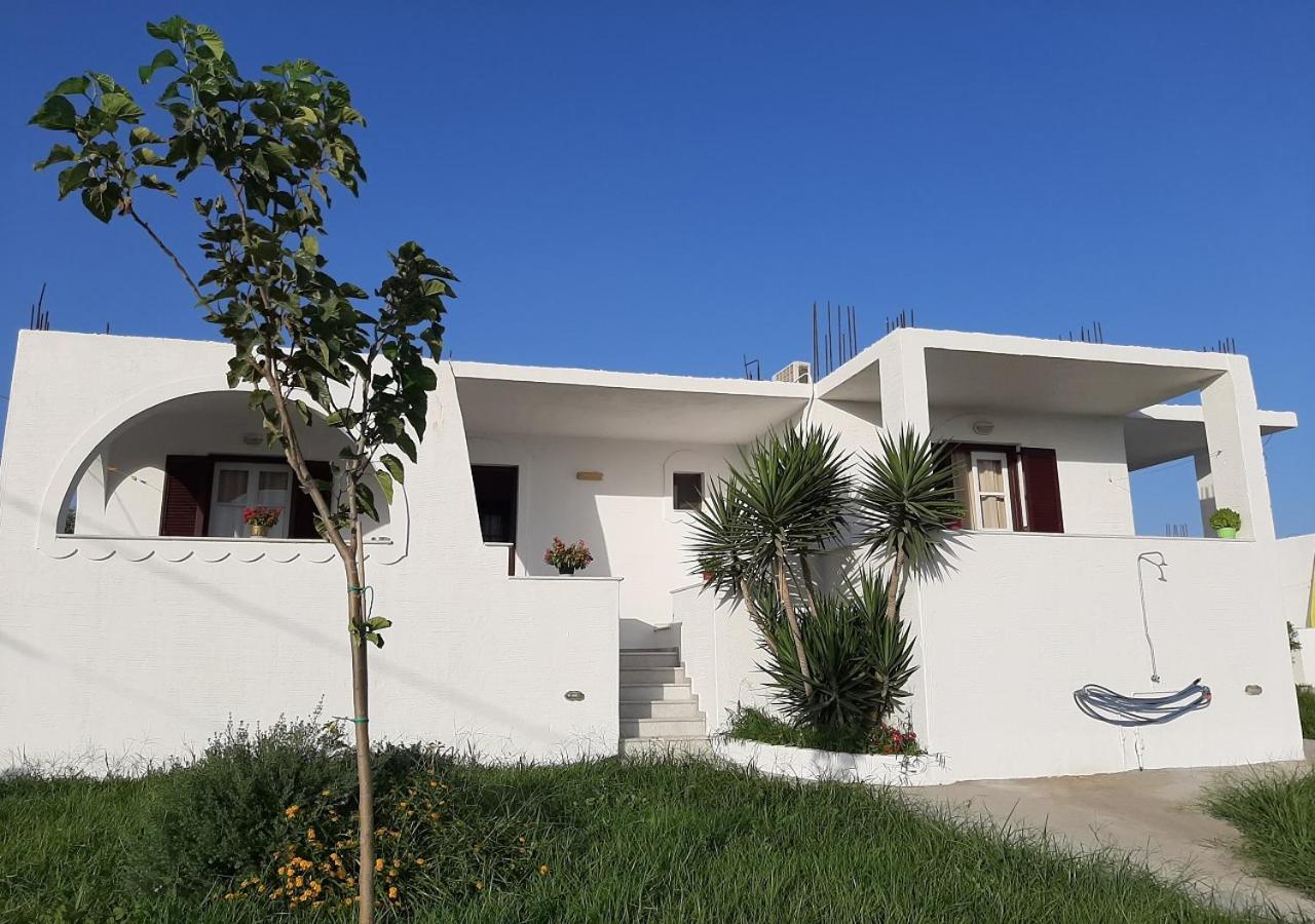 Joanna'S Rooms On The Beach Plaka  Ngoại thất bức ảnh